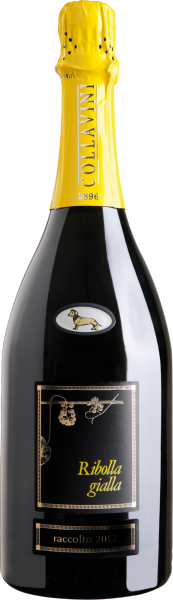 Ribolla Gialla Brut - Eugenio Collavini - Weißwein