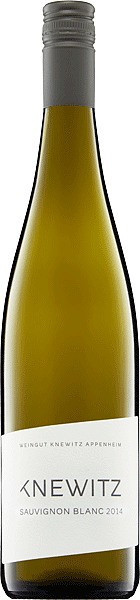 Sauvignon Blanc trocken - Weingut Knewitz - Weißwein