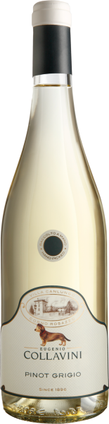 Pinot Grigio Canlungo - Eugenio Collavini - Weißwein