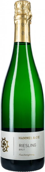 Riesling Sekt brut - Weingut Hammel & Cie - Weißwein