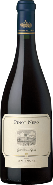 Pinot Nero Umbria - Castello della Sala - Rotwein