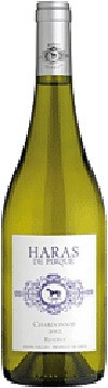 Chardonnay - Haras de Pirque - Weißwein