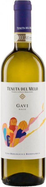 Gavi - Tenuta del Melo - Weißwein