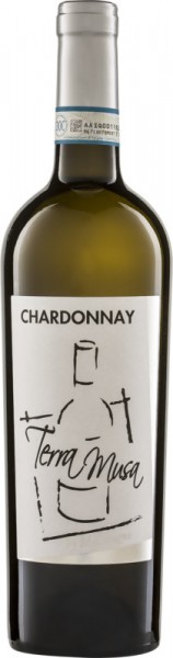 Chardonnay Venezia - Terra Musa di Moreno Musaragno - Weißwein