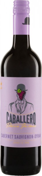 CABALLERO PARRA JIMÉNEZ Tinto Cabernet Sauvignon-Syrah - Bodegas Irjimpa - Rotwein