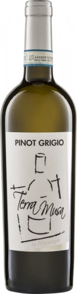 Pinot Grigio Venezia - Terra Musa di Moreno Musaragno - Weißwein