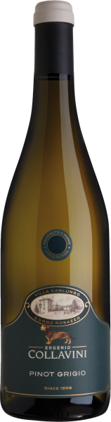 Villa Canlungo Pinot Grigio Collio - Eugenio Collavini - Weißwein