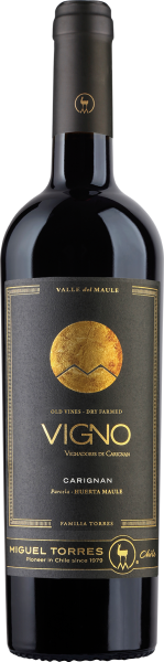 Cordillera Carignan Maule Valley - Miguel Torres - Rotwein